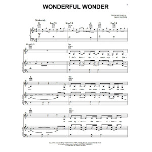Wonderful Wonder