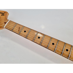 Fender 25th Anniversary Stratocaster 1979