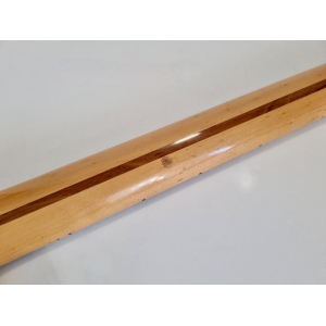 Fender 25th Anniversary Stratocaster 1979