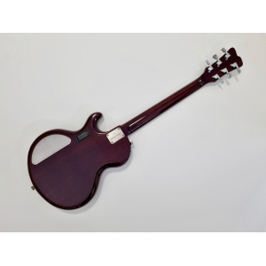 James Trussart Steeltop 2007