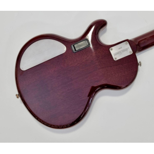 James Trussart Steeltop 2007