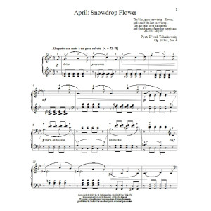 April: Snowdrop Flower