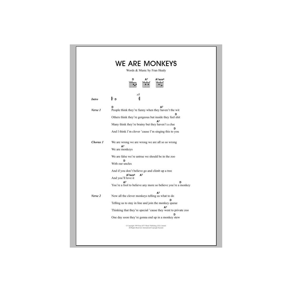 We Are Monkeys