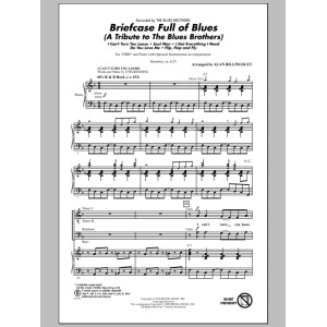 Briefcase Full Of Blues (A Tribute to the Blues Brothers)