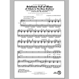 Briefcase Full Of Blues (A Tribute to the Blues Brothers)