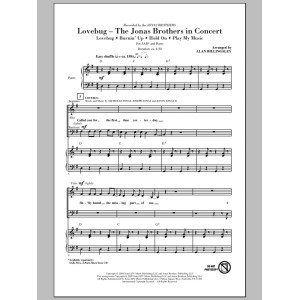 Lovebug - The Jonas Brothers In Concert (Medley)