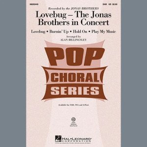 Lovebug - The Jonas Brothers In Concert (Medley)