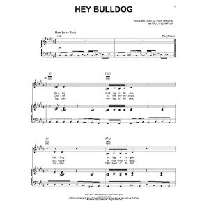 Hey Bulldog