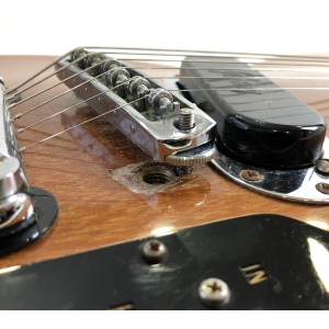 Gibson Les Paul Recording 1973 Walnut