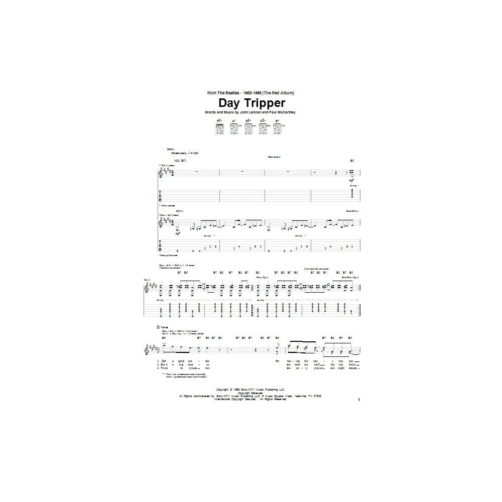 Day Tripper