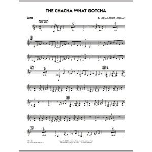The Chacha What Gotcha - Gitarre