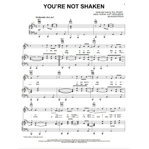 You're Not Shaken