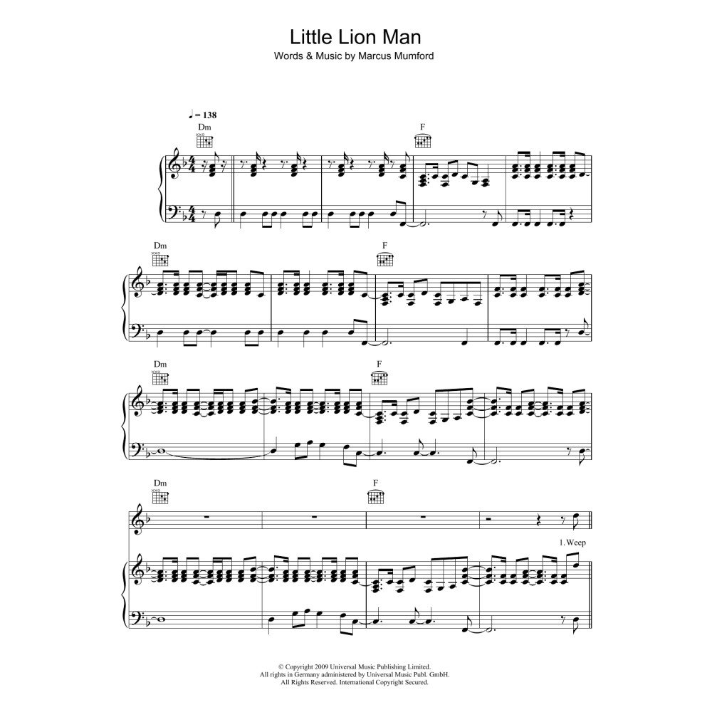 Little Lion Man