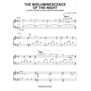 The Bioluminescence Of The Night