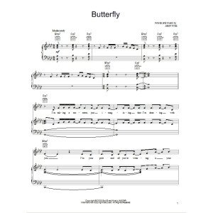Butterfly