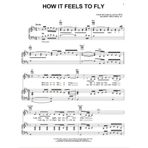 How It Feels To Fly