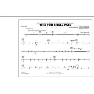 This Too Shall Pass - Cymbals
