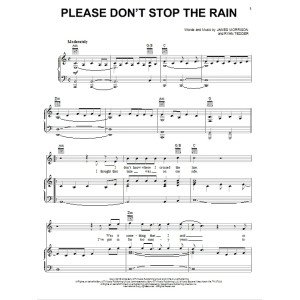 Please Don't Stop The Rain