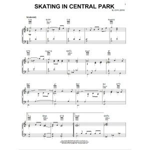 Skating In Central Park