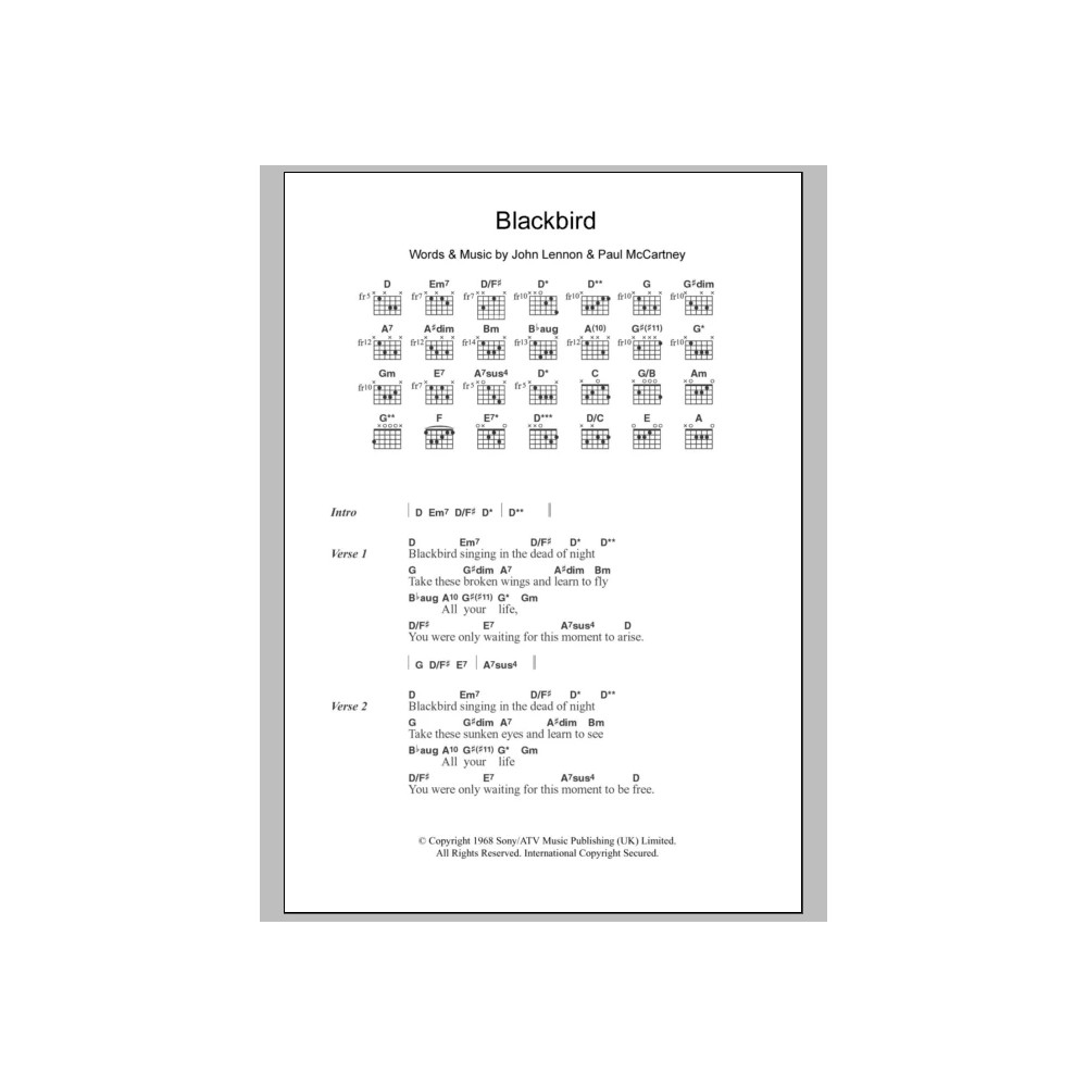 Blackbird