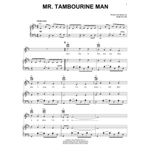 Mr. Tambourine Man