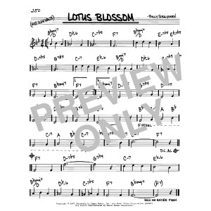 Lotus Blossom