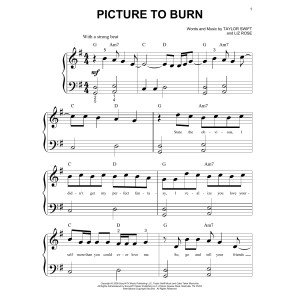 Picture To Burn