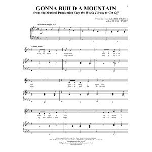 Gonna Build A Mountain