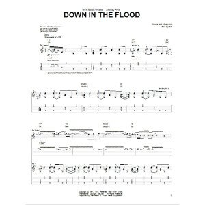 Down In The Flood