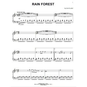 Rain Forest