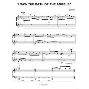 I Saw The Path Of The Angels