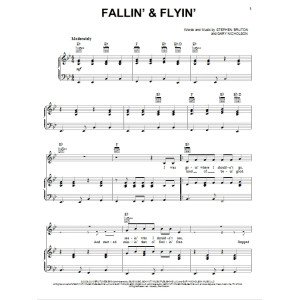 Fallin'' & Flyin''