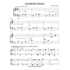Accidental Wizard