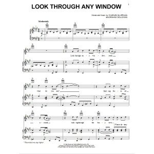 Look Through Any Window