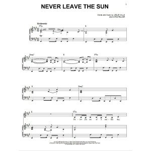 Never Leave The Sun
