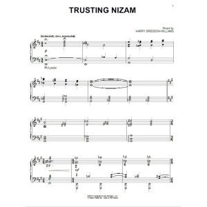 Trusting Nizam