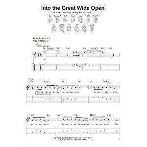 Into The Great Wide Open