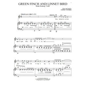 Green Finch And Linnet Bird