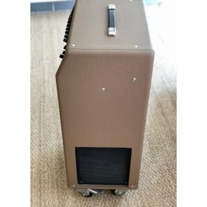 Fender Acoustasonic SFX 2-Channel