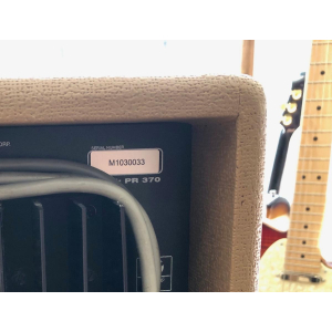 Fender Acoustasonic SFX 2-Channel