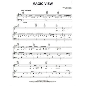 Magic View