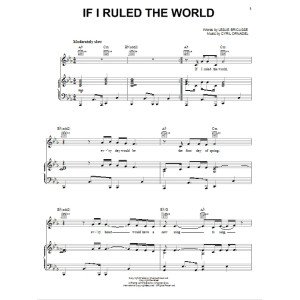 If I Ruled The World