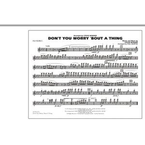 Don't You Worry 'Bout A Thing - Flute/Piccolo