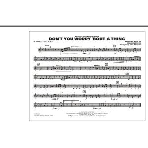 Don't You Worry 'Bout A Thing - Bb Horn/Flugelhorn
