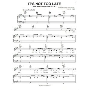 It''s Not Too Late (aus Camp Rock 2)