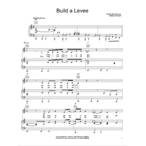 Build A Levee
