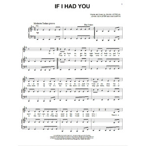If I Had You