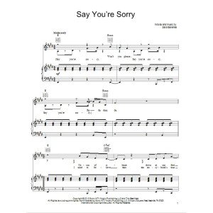 Say You're Sorry