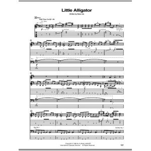 Little Alligator