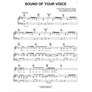 Sound Of Your Voice